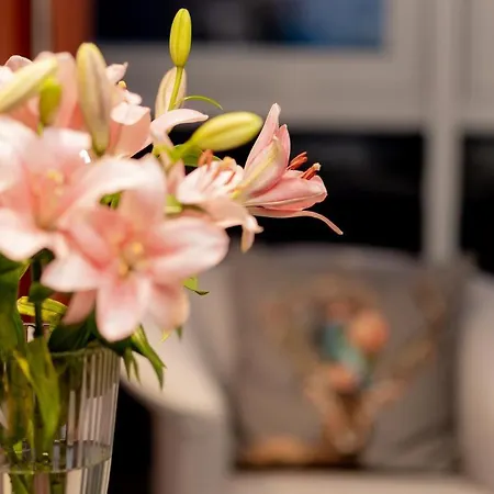 Apartment Liesel´s Loft - Im Herzen Der Wasserstadt Luxuriös Und Ideal Für Erholungssuchende *